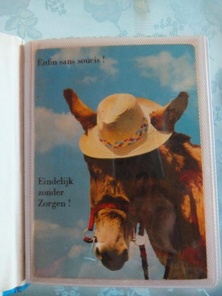 postkaarten , paarden (96), Verzamelen, Ansichtkaarten | Dieren, Gelopen, 1980 tot heden, Paard, Ophalen of Verzenden