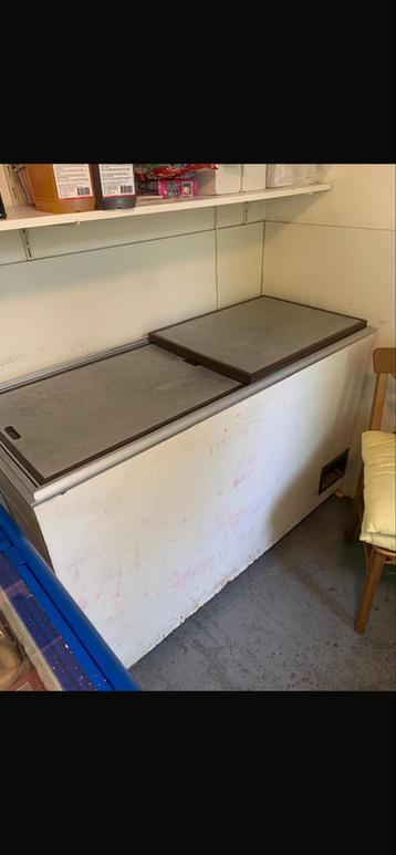 Grote Vrieskist - 1.40m x 0.58m beschikbaar voor biedingen