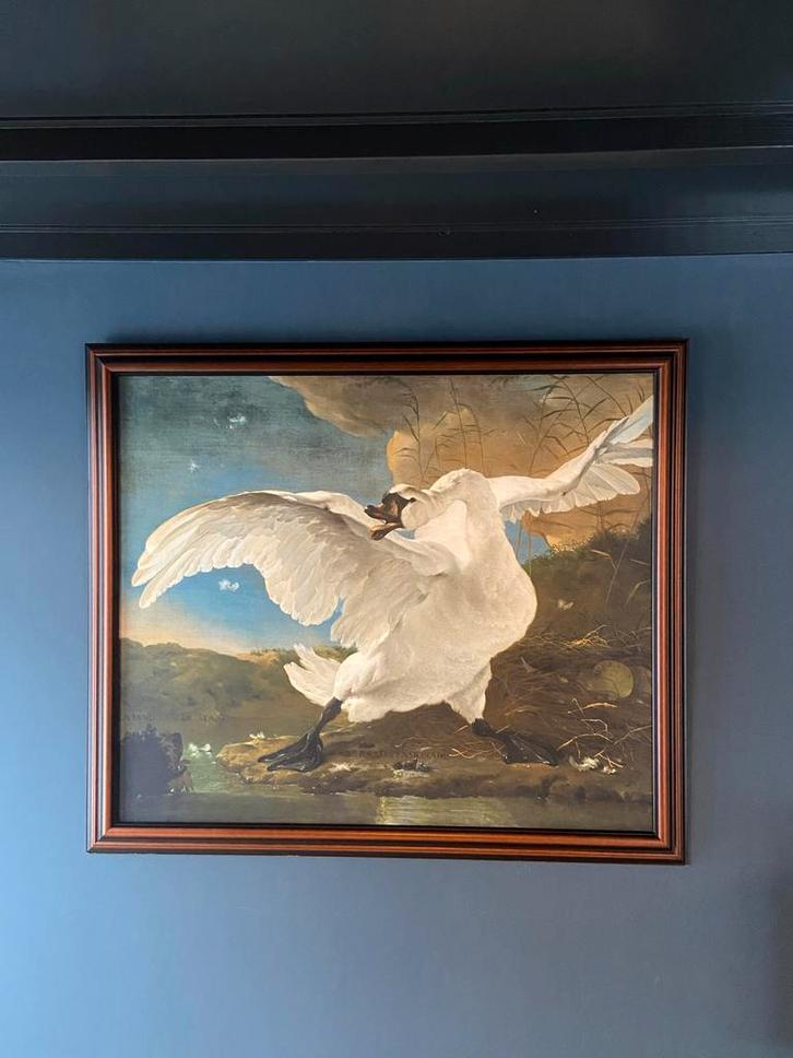 Groot schilderij "De bedreigde Zwaan" in lijst 140x120, Antiek en Kunst, Kunst | Schilderijen | Abstract, Ophalen