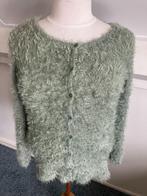 Promiss, lekker warm, fluffy vest, zachtgroen XXL, Promiss, Verzenden, Maat 46/48 (XL) of groter, Zo goed als nieuw