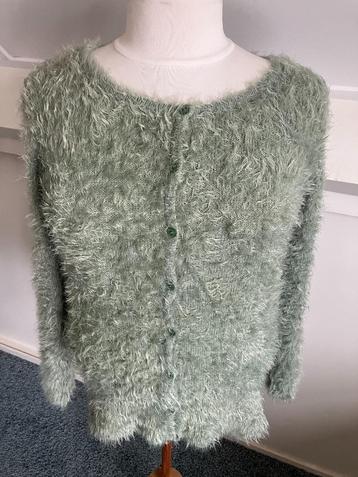 Promiss, lekker warm, fluffy vest, zachtgroen XXL beschikbaar voor biedingen