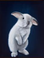 Flappie, pluizig wit konijn op doek, in een naturel baklijst, Ophalen of Verzenden