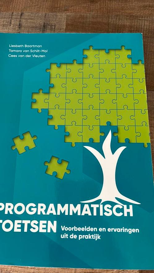 Liesbeth Baartman - Programmatisch toetsen, Boeken, Wetenschap, Zo goed als nieuw, Ophalen of Verzenden