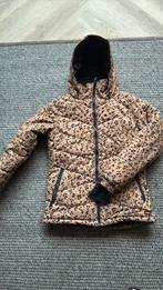 Protest skijas 164 zgan, Ophalen of Verzenden, Zo goed als nieuw, Protest, Jack