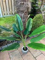 Mooie Kunstplant  Paradijsvogelplant – 80 cm hoog, Huis en Inrichting, Kamerplanten, Ophalen of Verzenden, Halfschaduw, Minder dan 100 cm