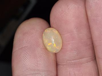 Ethiopische Opaal 2,24 ct (ca. 11x8 mm) – Mooie cabochon beschikbaar voor biedingen