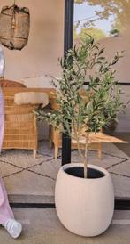 Kunstboom olijfboom 150 cm NIEUW, Ophalen, Nieuw, Binnen