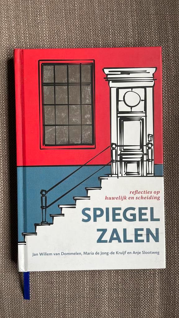 Jan Willem van Dommelen - Spiegelzalen, Boeken, Godsdienst en Theologie, Zo goed als nieuw, Ophalen of Verzenden