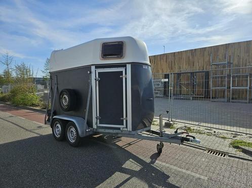 Sluis 1.5-paards trailer, Dieren en Toebehoren, Paarden en Pony's | Trailers en Aanhangwagens, Gebruikt, Overige typen