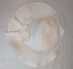 Nieuwe hoed of basishoed 2 maal (C) hoeden maken knutselen, Ophalen of Verzenden, Nieuw