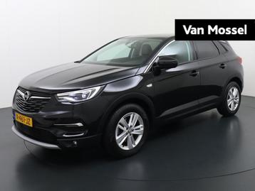 Opel Grandland X 1.2 Turbo Business Elegance | Navigatie | P beschikbaar voor biedingen