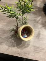 Aquarium compleet, Ophalen, Zo goed als nieuw, Leeg aquarium