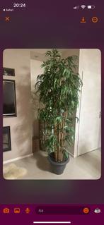 Bambo kunstboom. 180cm, Ophalen of Verzenden, Zo goed als nieuw