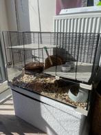 Hamster met kooi, Kooi, Minder dan 75 cm, Zo goed als nieuw, Hamster