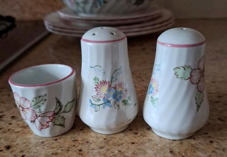 SpringFields by Jenny Rhodes Peper en zout stelletje, Huis en Inrichting, Keuken | Servies, Overige typen, Overige stijlen, Porselein