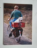 Hond achterop fiets, Ophalen of Verzenden, Overige thema's