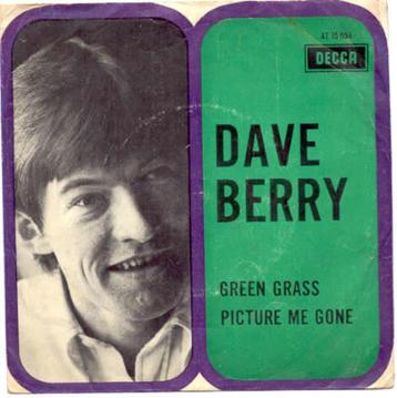 Dave Berry- Green Grass beschikbaar voor biedingen