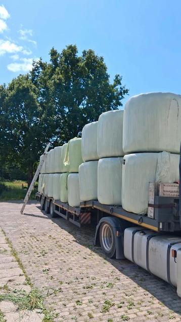 Paarden hooibalen beschikbaar voor biedingen