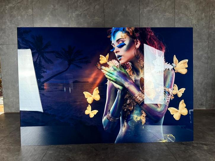 Butterfly Lady plexiglas schilderij, Antiek en Kunst, Kunst | Schilderijen | Abstract, Ophalen of Verzenden
