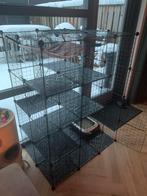 Kitten kooi, Ophalen, Nieuw, Overige