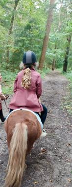 Gezocht les en verzorg pony voor 2 meiden in Soest, Dieren en Toebehoren, Ophalen of Verzenden