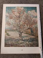 Van Gogh Poster - Souvenir de Mauve, Ophalen of Verzenden