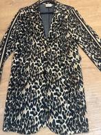 HELENA HART L, Kleding | Dames, Jasjes, Kostuums en Pakken, Ophalen of Verzenden, Zo goed als nieuw, Maat 38/40 (M)