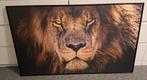 Canvas Schilderij Leeuwenkop, Ophalen, 50 tot 75 cm, Nieuw, Schilderij