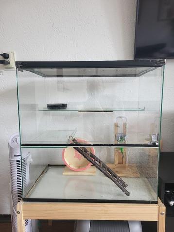 Terrarium / Hamsterkooi te koop beschikbaar voor biedingen