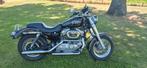Harley Davidson, Particulier, Chopper