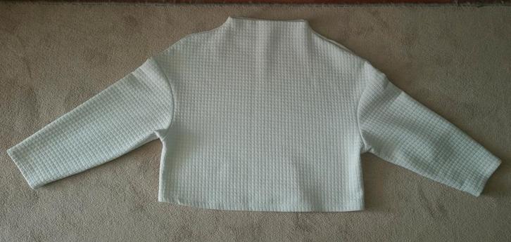 Zara cropped coltrui maat s creme gebroken wit trui truien, Kleding | Dames, Truien en Vesten, Zo goed als nieuw, Maat 36 (S)