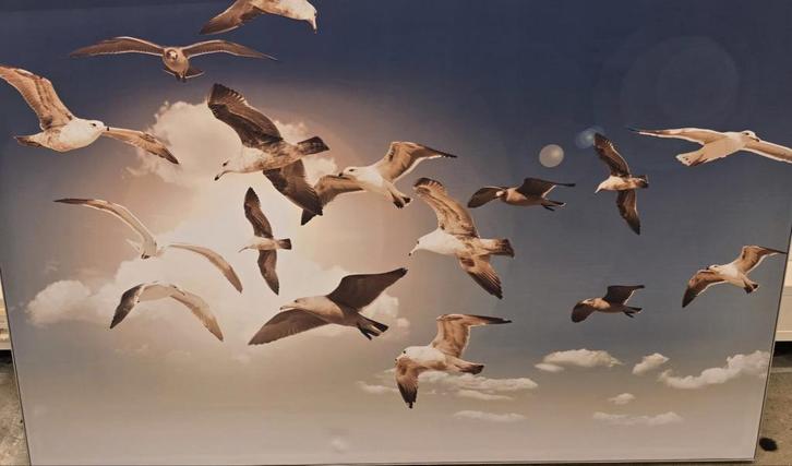 Akoestisch schilderij Akoesta 120x80 cm, Huis en Inrichting, Woonaccessoires | Schilderijen, Tekeningen en Foto's, Gebruikt, Schilderij