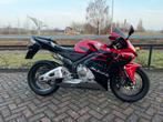 Honda CBR 600 RR 2006, Motoren, 4 cilinders, Motorrijbewijs A, Super Sport, Particulier