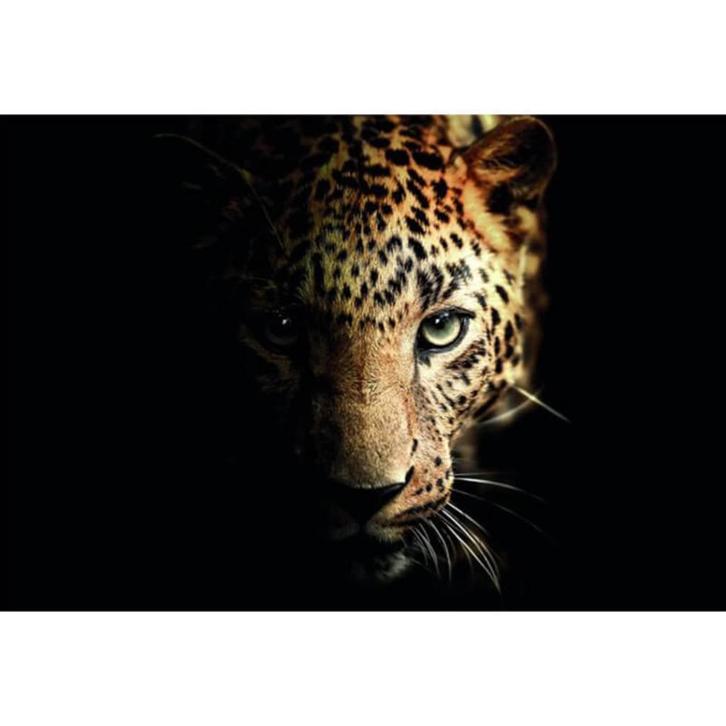 Panter in glas, Antiek en Kunst, Kunst | Schilderijen | Modern, Ophalen