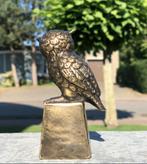 Uilen in het brons bronzenbeelden-winkel vanaf 49.95...., Ophalen of Verzenden