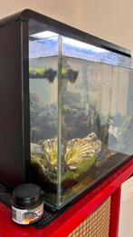 Superfish home 65, Dieren en Toebehoren, Ophalen, Zo goed als nieuw, Leeg aquarium