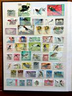 Collectie "Vogels"uit diverse landen,12 volle insteek bladen, Ophalen of Verzenden, Overige landen, Gestempeld