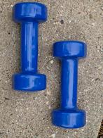 2 Halters dumbbells van 2 kg in mooie staat, Ophalen, Dumbbell