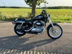 Harley Davidson XL Sportster 883, Motoren, Motoren | Harley-Davidson, LED Verlichting, 2 cilinders, Chopper, 883 cc
