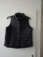 Zwarte bodywarmer Mango maat XL, Kleding | Dames, Bodywarmers, Ophalen of Verzenden, Zo goed als nieuw, Maat 46/48 (XL) of groter