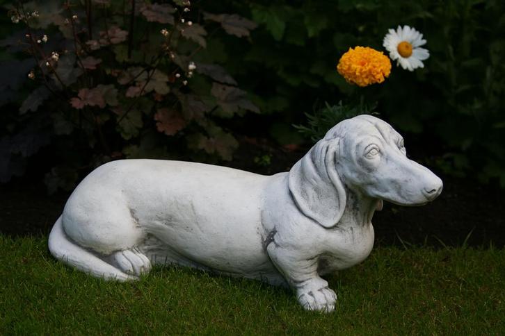 teckel tuinbeelden - kortharig ruwharig en langharig, Tuin en Terras, Tuinbeelden, Nieuw, Dierenbeeld, Beton, Ophalen