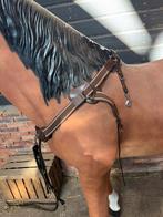 Nieuw borsttuig met martingaal QHP maat full, Dieren en Toebehoren, Paarden en Pony's | Hoofdstellen en Tuigage, Ophalen of Verzenden