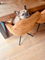 Franse bulldog speelmaatje (geen verkoop), Verzamelen, Beelden en Beeldjes, Ophalen of Verzenden