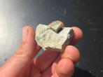 Pyriet Navajun, Spanje, Verzamelen, Mineralen en Fossielen, Ophalen of Verzenden, Mineraal