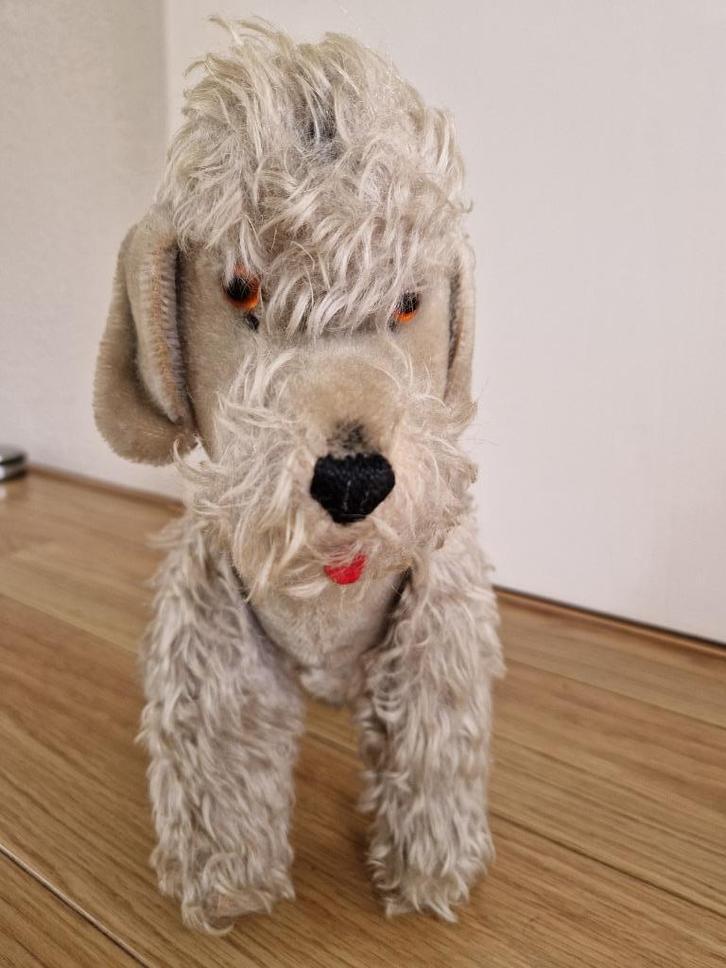 Steiff poedel grijs, 31 cm hoog, Antiek en Kunst, Antiek | Speelgoed, Ophalen