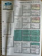 Harry duiven, Meerdere dieren, Postduif