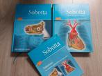 Sobotta, Atlas van de menselijke anatomie, 3e druk, Gelezen, Ophalen of Verzenden