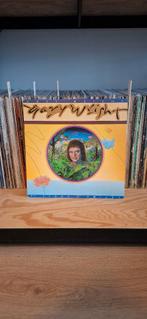 Lp Gary Wright - Gary Wright Vinyl Symphonic Rock, Ophalen of Verzenden, Zo goed als nieuw, 12 inch, Poprock