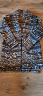 Dik gebreid vest maat L / XL nieuw van bridget the label, Bruin, Maat 46/48 (XL) of groter, Nieuw, Ophalen of Verzenden