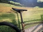 ** SALE Giant Revolt 0 M GRX 610/820 €1899,-/€1599.- Gravel, Ophalen, Heren, Nieuw, 49 tot 53 cm